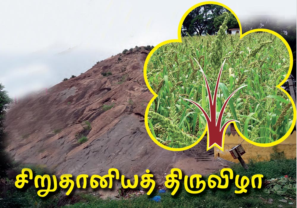   சிறுதானியத் திருவிழா 